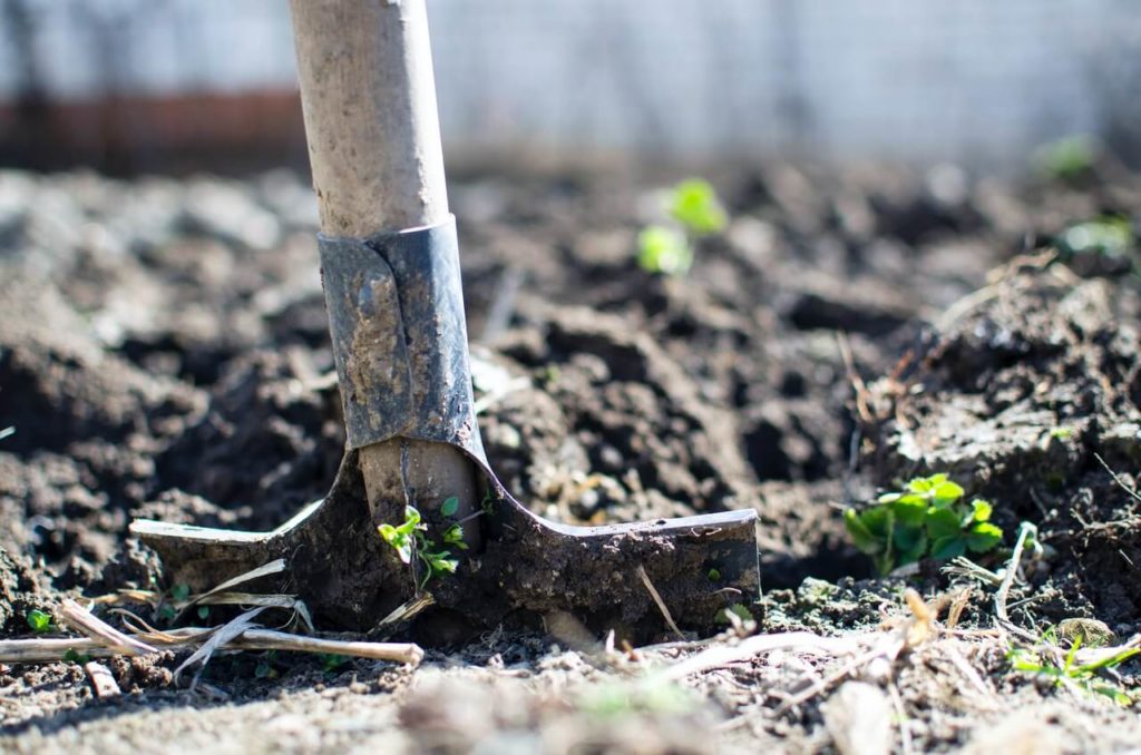 Zelf je tuin omspitten