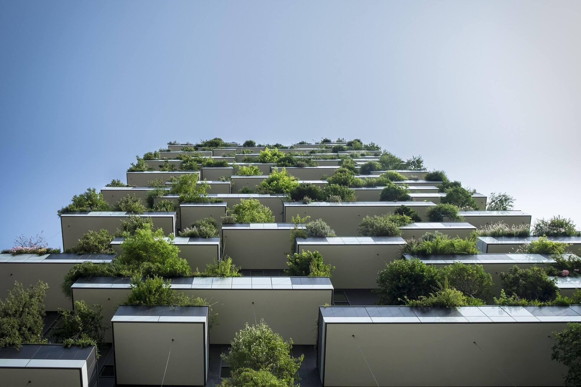 Articulatie koepel terras Hoe zorg je voor een groen balkon? | Tuinenmagazine.nl