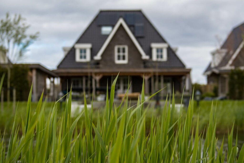 Gras in tuin